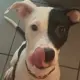 Lyla