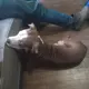 Kilo