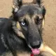 Roxy