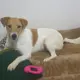 Mika