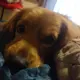 Billy