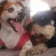Kiara & Logan