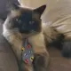 Pablo 