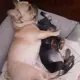 Hunter and Nova