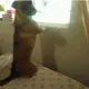 my-contest