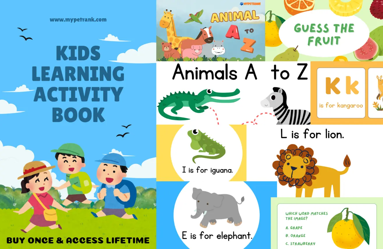 printable worksheets